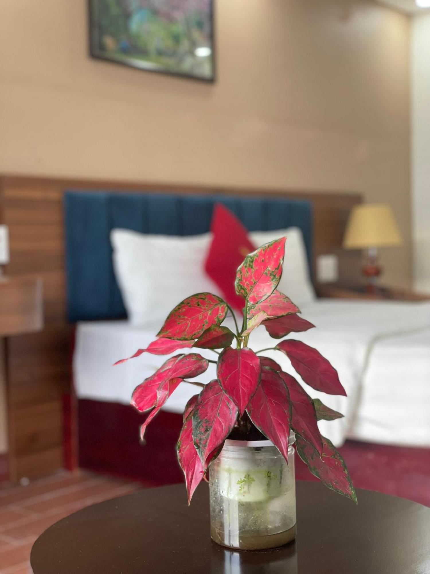 Liberty Sapa Hotel Zewnętrze zdjęcie